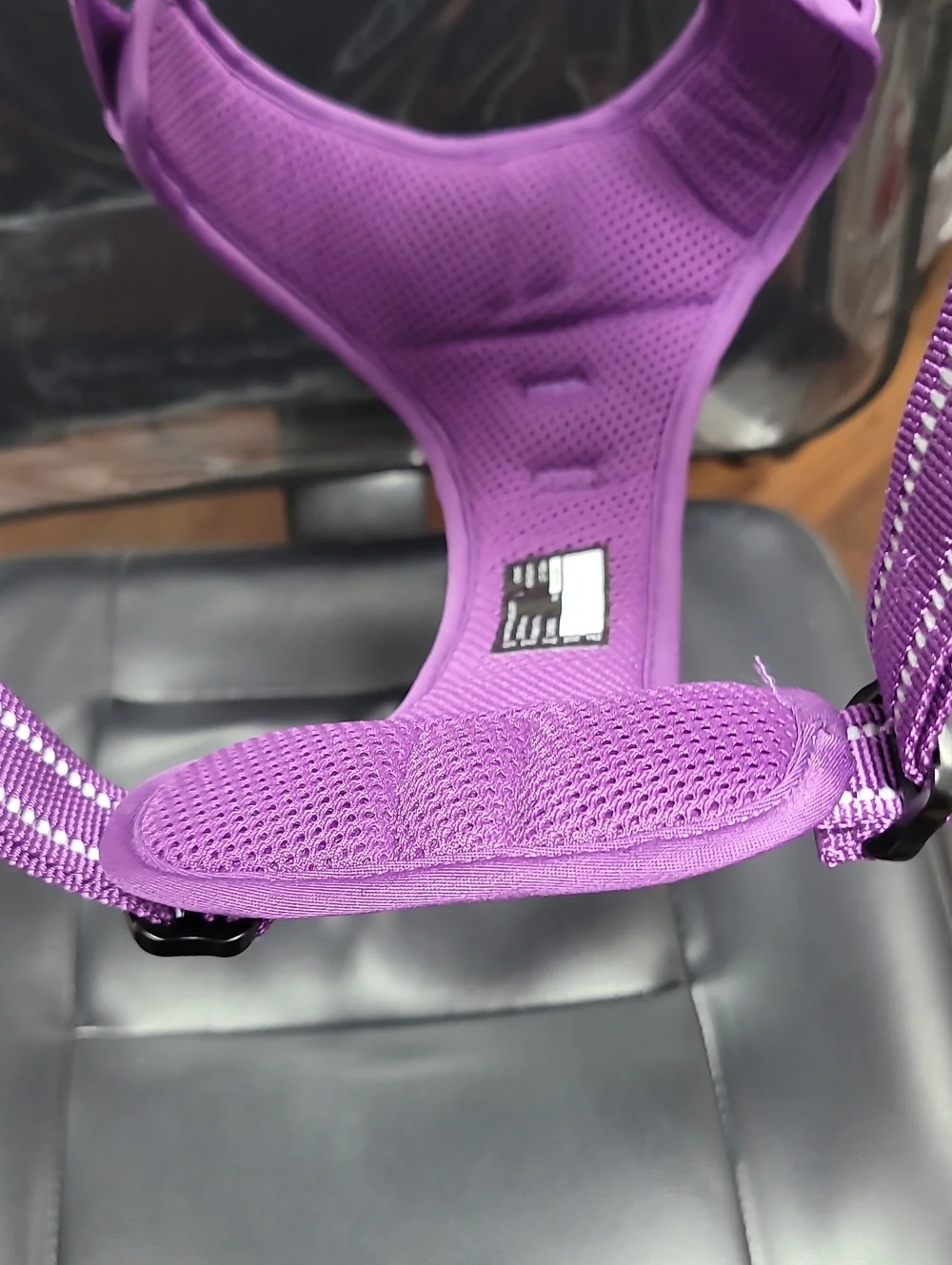 Purple Mesh Dog Harness for Kids Accessories